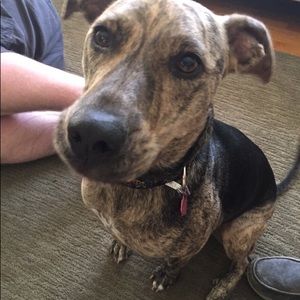 Meet your Posher, Kristen